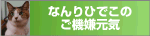 ねこのめ通信