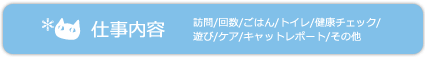 仕事内容(訪問/回数/ごはん/トイレ/健康チェック/遊び/ケア/キャットレポート/その他)